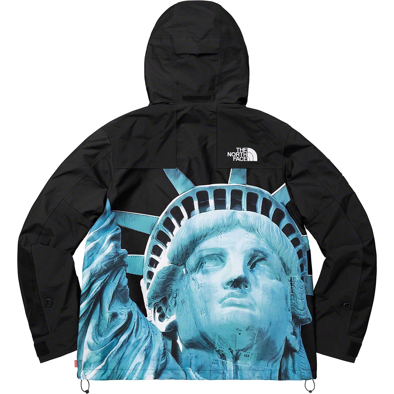 Supreme®/The North Face® Statue of Liberty Mountain Jacket view 10